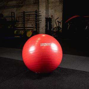Купить Гимнастический мяч Yousteel Hard 55см в Нытве 
