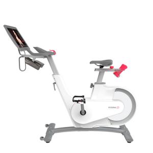 Купить Велотренажер Yesoul BV1-W PLUS в Нытве 